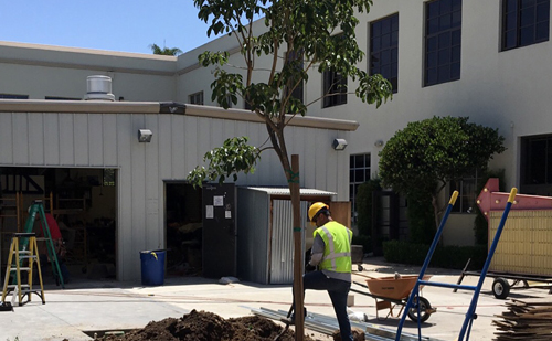 University of San Diego Landscaping